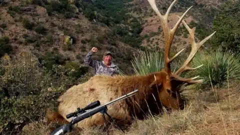 new-mexico-elk-hunting-the-ultimate-Guide-for-2025