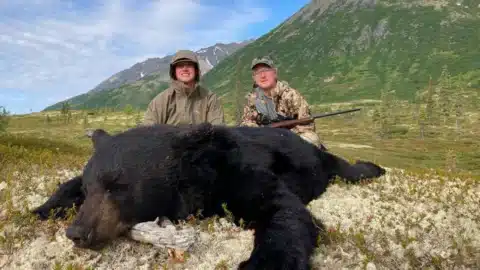 Black Bear Hunting - hunt-nation.com